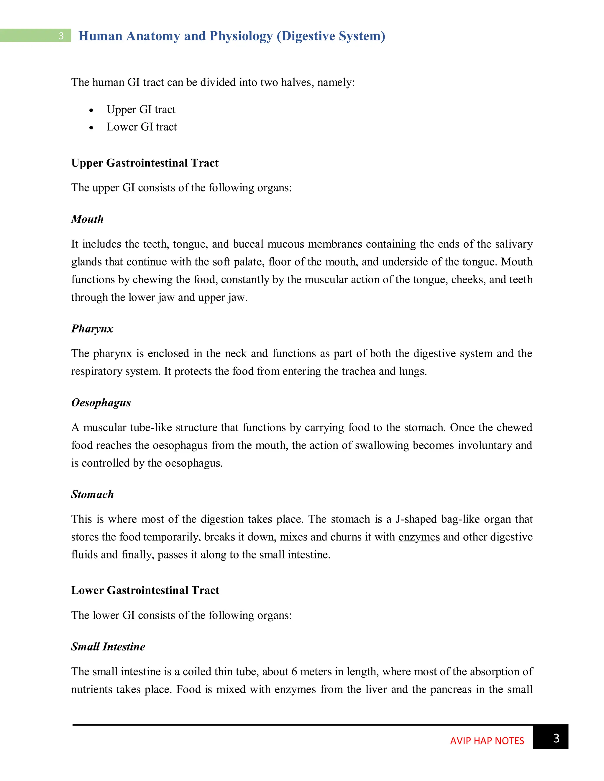 Digestive System.pdf HUMAN ANATOMY AND PHYSIOLOGY | PDF