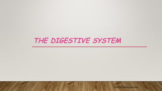 Digestive System digestion ans others.ppt