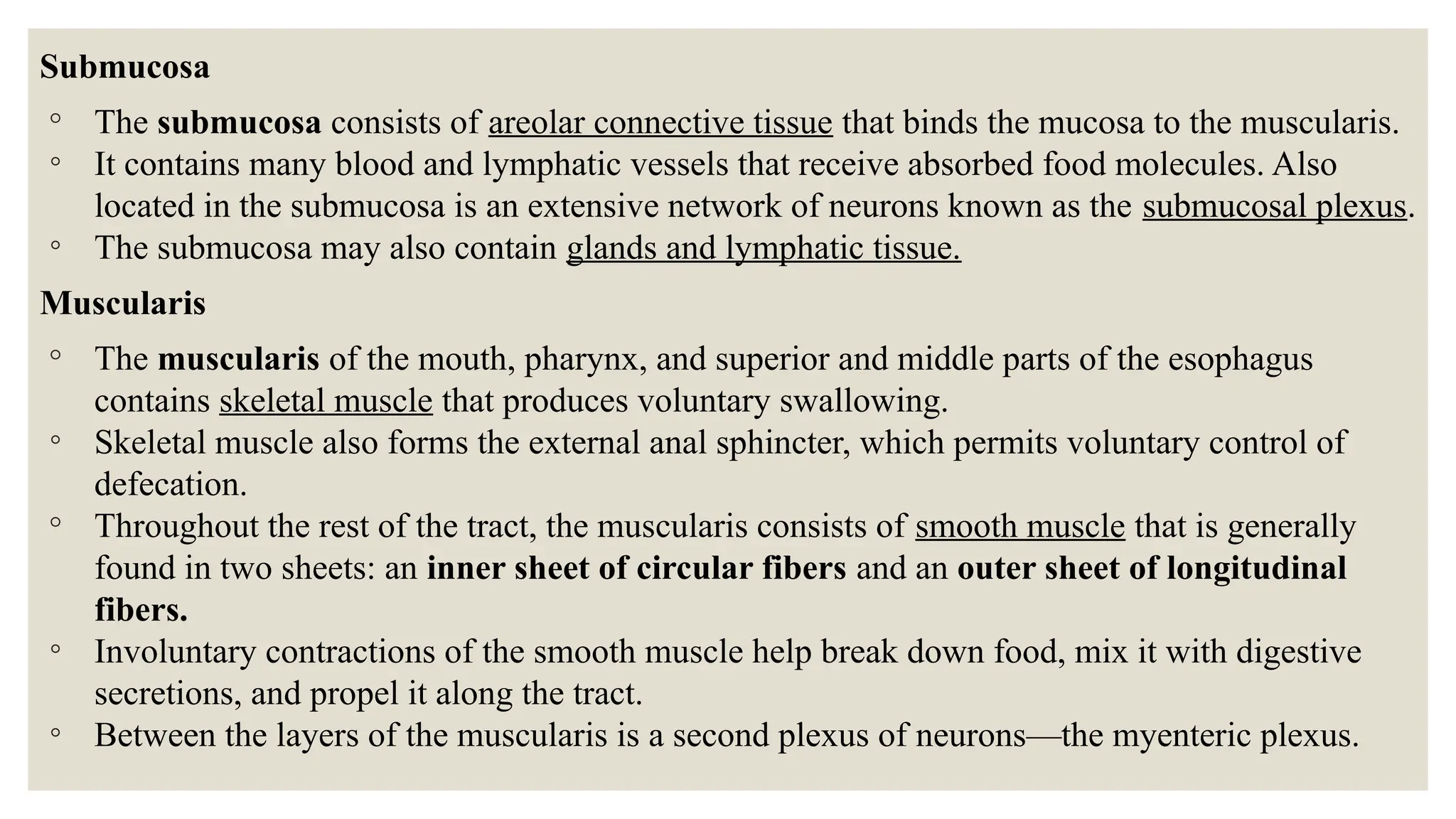 Submucosa
◦ The submucosa consists of areolar connective tissue that binds the mucosa to the muscularis.
◦ It contains many blood and lymphatic vessels that receive absorbed food molecules. Also
located in the submucosa is an extensive network of neurons known as the submucosal plexus.
◦ The submucosa may also contain glands and lymphatic tissue.
Muscularis
◦ The muscularis of the mouth, pharynx, and superior and middle parts of the esophagus
contains skeletal muscle that produces voluntary swallowing.
◦ Skeletal muscle also forms the external anal sphincter, which permits voluntary control of
defecation.
◦ Throughout the rest of the tract, the muscularis consists of smooth muscle that is generally
found in two sheets: an inner sheet of circular fibers and an outer sheet of longitudinal
fibers.
◦ Involuntary contractions of the smooth muscle help break down food, mix it with digestive
secretions, and propel it along the tract.
◦ Between the layers of the muscularis is a second plexus of neurons—the myenteric plexus.
 