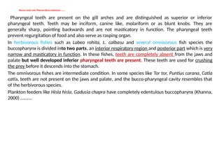 Buccal cavity and Pharynx (Bucco pharynx) ……..
Pharyngeal teeth are present on the gill arches and are distinguished as superior or inferior
pharyngeal teeth. Teeth may be inciform, canine like, molariform or as blunt knobs. They are
generally sharp, pointing backwards and are not masticatory in function. The pharyngeal teeth
prevent regurgitation of food and also serve as rasping organ.
In herbivorous fishes such as Labeo rohita, L. calbasu and several omnivorous fish species the
buccopharynx is divided into two parts, an interior respiratory region and posterior part which is very
narrow and masticatory in function. In these fishes, teeth are completely absent from the jaws and
palate but well developed inferior pharyngeal teeth are present. These teeth are used for crushing
the prey before it descends into the stomach.
The omnivorous fishes are intermediate condition. In some species like Tor tor, Puntius carana, Catla
catla, teeth are not present on the jaws and palate, and the bucco-pharyngeal cavity resembles that
of the herbivorous species.
Plankton feeders like Hisla hisla, Gadusia chapra have completely edentulous buccopharynx (Khanna,
2000) ……….
 