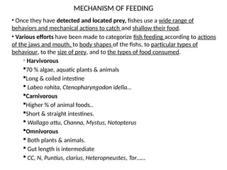 MECHANISM OF FEEDING
• Once they have detected and located prey, fishes use a wide range of
behaviors and mechanical actions to catch and shallow their food.
• Various efforts have been made to categorize fish feeding according to actions
of the jaws and mouth, to body shapes of the fishs, to particular types of
behaviour, to the size of prey, and to the types of food consumed.
• Harvivorous
70 % algae, aquatic plants & animals
Long & coiled intestine
 Labeo rohita, Ctenopharyngodon idella…
Carnivorous
Higher % of animal foods..
Short & straight intestines.
 Wallago attu, Channa, Mystus, Notopterus
Omnivorous
 Both plants & animals.
 Gut length is intermediate
 CC, N, Puntius, clarius, Heteropneustes, Tor……
 