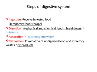 Steps of digestive system
Ingestion: Receive ingested food
(Temporary food storage)
Digestion :Mechanical and chemical food breakdown 
nutrients
Absorption  nutrients and water
Elimination: Elimination of undigested food and excretory
wastes / by-products
 