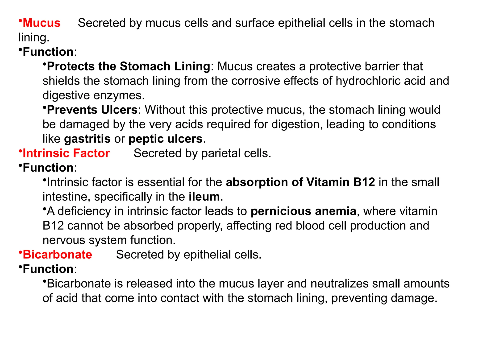 •Mucus Secreted by mucus cells and surface epithelial cells in the stomach
lining.
•Function:
•Protects the Stomach Lining: Mucus creates a protective barrier that
shields the stomach lining from the corrosive effects of hydrochloric acid and
digestive enzymes.
•Prevents Ulcers: Without this protective mucus, the stomach lining would
be damaged by the very acids required for digestion, leading to conditions
like gastritis or peptic ulcers.
•Intrinsic Factor Secreted by parietal cells.
•Function:
•Intrinsic factor is essential for the absorption of Vitamin B12 in the small
intestine, specifically in the ileum.
•A deficiency in intrinsic factor leads to pernicious anemia, where vitamin
B12 cannot be absorbed properly, affecting red blood cell production and
nervous system function.
•Bicarbonate Secreted by epithelial cells.
•Function:
•Bicarbonate is released into the mucus layer and neutralizes small amounts
of acid that come into contact with the stomach lining, preventing damage.
 