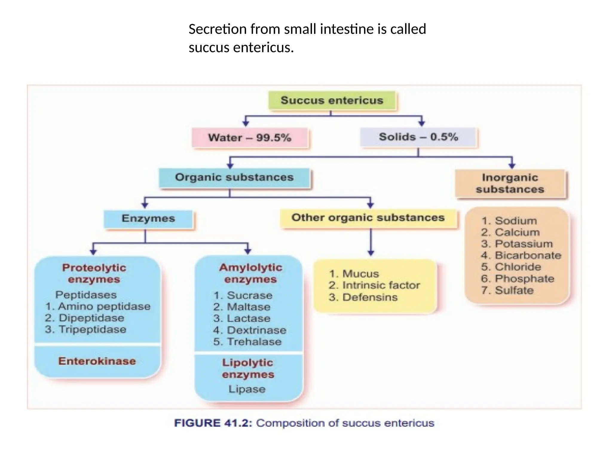 Secretion from small intestine is called
succus entericus.
 