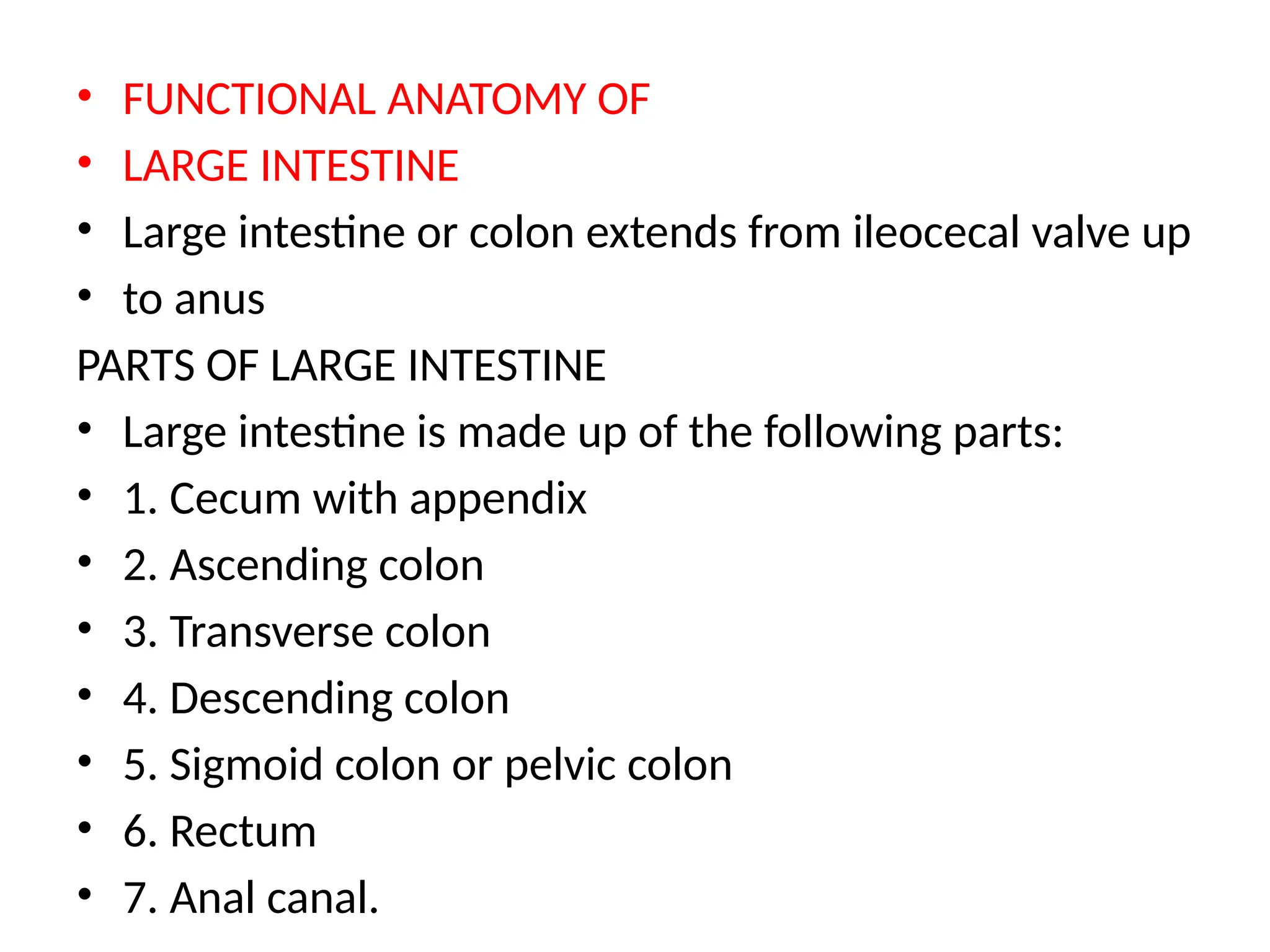 • FUNCTIONAL ANATOMY OF
• LARGE INTESTINE
• Large intestine or colon extends from ileocecal valve up
• to anus
PARTS OF LARGE INTESTINE
• Large intestine is made up of the following parts:
• 1. Cecum with appendix
• 2. Ascending colon
• 3. Transverse colon
• 4. Descending colon
• 5. Sigmoid colon or pelvic colon
• 6. Rectum
• 7. Anal canal.
 