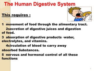Digestive System Powerpoint Grade 8.pptx