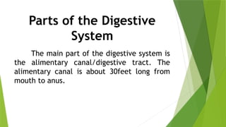 Parts of the Digestive
System
The main part of the digestive system is
the alimentary canal/digestive tract. The
alimentary canal is about 30feet long from
mouth to anus.
 