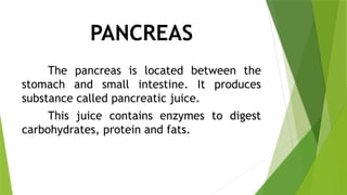 PANCREAS
The pancreas is located between the
stomach and small intestine. It produces
substance called pancreatic juice.
This juice contains enzymes to digest
carbohydrates, protein and fats.
 