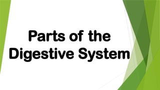 Parts of the
Digestive System
 