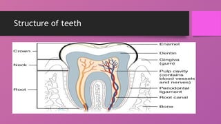 Introduction of Digestive system part -1 | PPTX