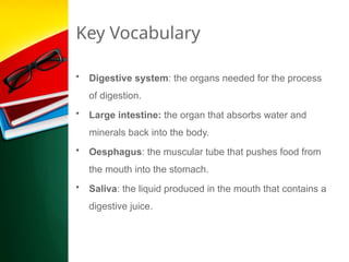 Key Vocabulary
• Digestive system: the organs needed for the process
of digestion.
• Large intestine: the organ that absorbs water and
minerals back into the body.
• Oesphagus: the muscular tube that pushes food from
the mouth into the stomach.
• Saliva: the liquid produced in the mouth that contains a
digestive juice.
 