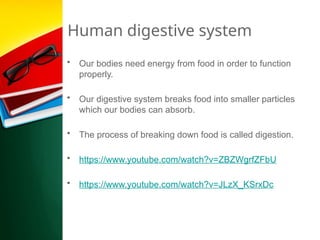 Human digestive system
• Our bodies need energy from food in order to function
properly.
• Our digestive system breaks food into smaller particles
which our bodies can absorb.
• The process of breaking down food is called digestion.
• https://www.youtube.com/watch?v=ZBZWgrfZFbU
• https://www.youtube.com/watch?v=JLzX_KSrxDc
 