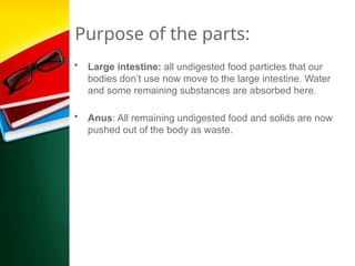 Purpose of the parts:
• Large intestine: all undigested food particles that our
bodies don’t use now move to the large intestine. Water
and some remaining substances are absorbed here.
• Anus: All remaining undigested food and solids are now
pushed out of the body as waste.
 