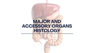 Comprehensive Overview of the Human Digestive System and Histology | PDF