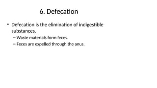 Comprehensive Overview of the Human Digestive System: Anatomy and ...