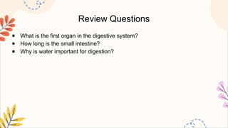 Review Questions
● What is the first organ in the digestive system?
● How long is the small intestine?
● Why is water important for digestion?
 