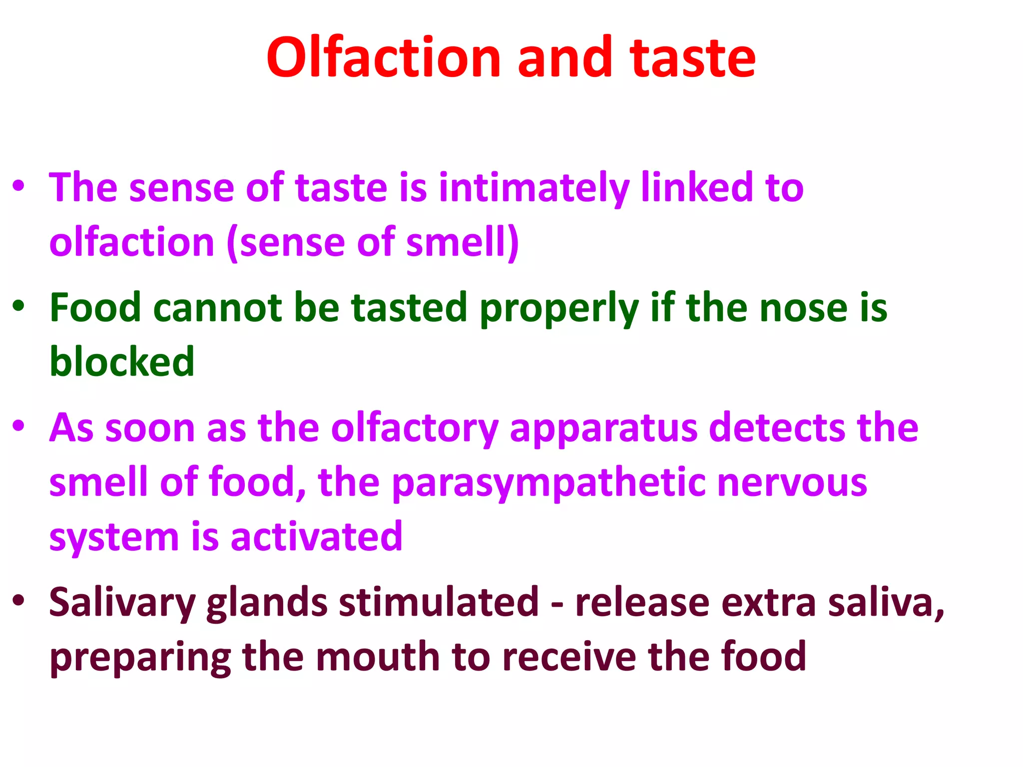 Olfaction and taste
• The sense of taste is intimately linked to
olfaction (sense of smell)
• Food cannot be tasted properly if the nose is
blocked
• As soon as the olfactory apparatus detects the
smell of food, the parasympathetic nervous
system is activated
• Salivary glands stimulated - release extra saliva,
preparing the mouth to receive the food
 