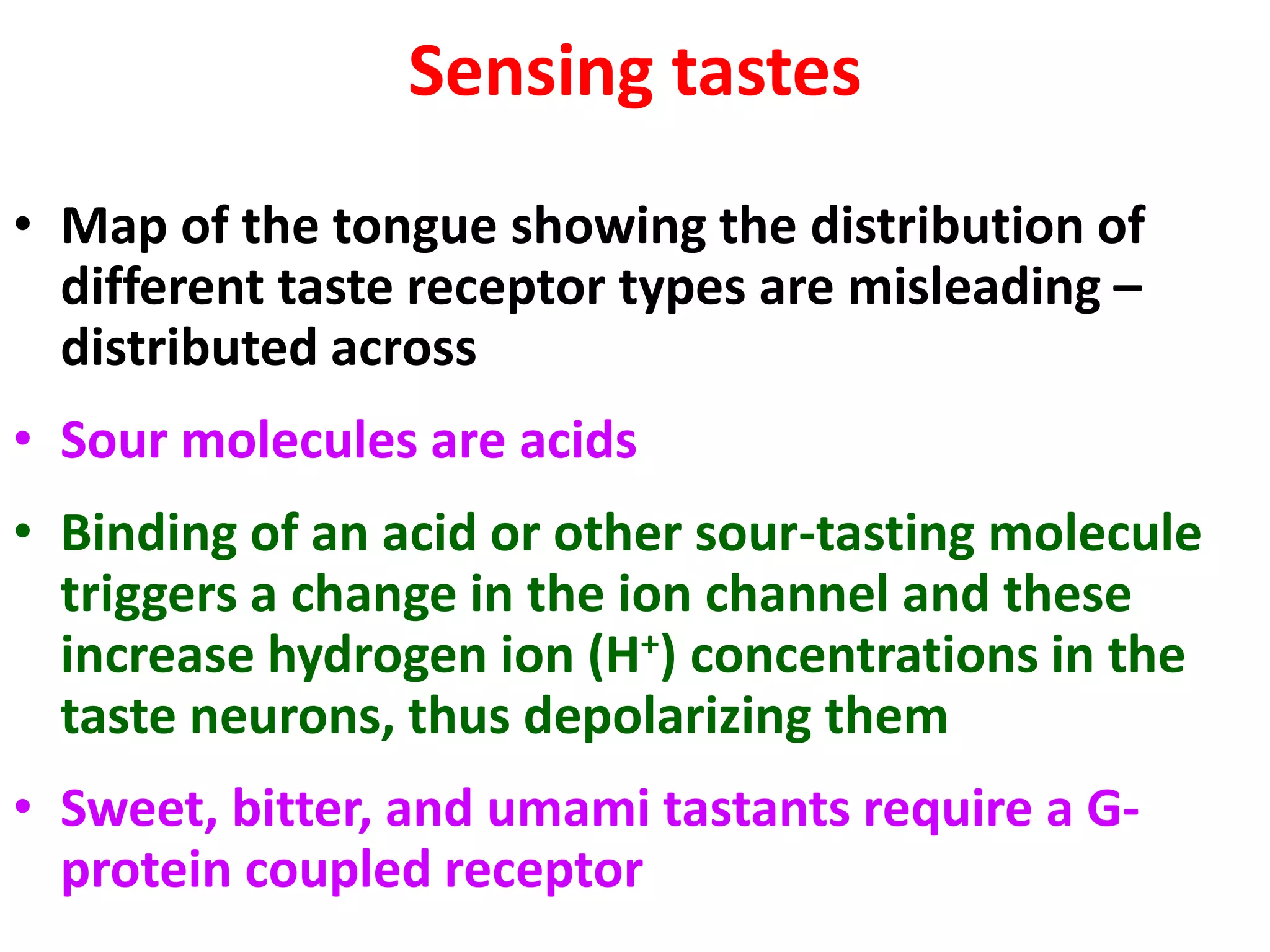 Sensing tastes
• Map of the tongue showing the distribution of
different taste receptor types are misleading –
distributed across
• Sour molecules are acids
• Binding of an acid or other sour-tasting molecule
triggers a change in the ion channel and these
increase hydrogen ion (H+) concentrations in the
taste neurons, thus depolarizing them
• Sweet, bitter, and umami tastants require a G-
protein coupled receptor
 