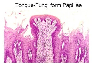 Tongue-Fungi form Papillae