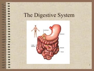 The Digestive System




                       1
 