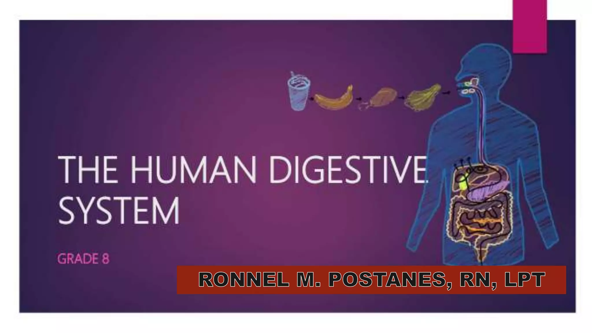 Grade 8 Science: Digestive System | PPTX