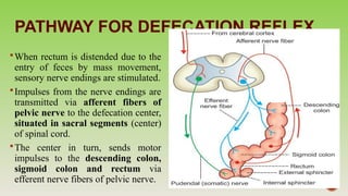 Digestive System - MOVEMENT OF GIT.pptx