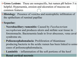 Digestive System - Part I.ppt