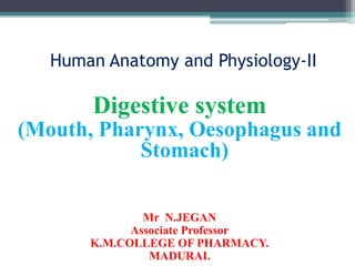 Human Anatomy and Physiology-II
Digestive system
(Mouth, Pharynx, Oesophagus and
Stomach)
Mr N.JEGAN
Associate Professor
K.M.COLLEGE OF PHARMACY.
MADURAI.
 