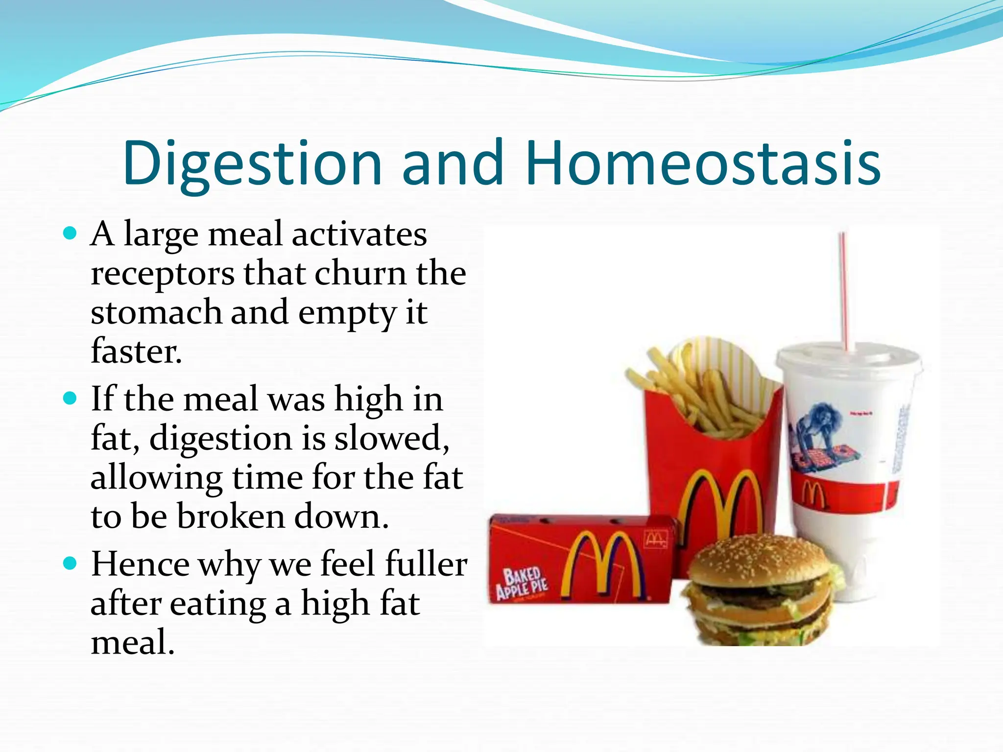 Digestion and Homeostasis
 A large meal activates
receptors that churn the
stomach and empty it
faster.
 If the meal was high in
fat, digestion is slowed,
allowing time for the fat
to be broken down.
 Hence why we feel fuller
after eating a high fat
meal.
 