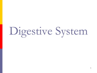 Digestive System
1
 