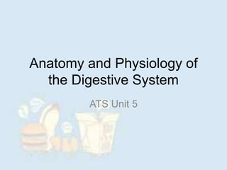Anatomy and Physiology of
the Digestive System
ATS Unit 5
 