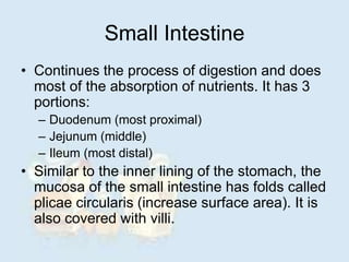 Small Intestine
• Continues the process of digestion and does
most of the absorption of nutrients. It has 3
portions:
– Duodenum (most proximal)
– Jejunum (middle)
– Ileum (most distal)
• Similar to the inner lining of the stomach, the
mucosa of the small intestine has folds called
plicae circularis (increase surface area). It is
also covered with villi.
 