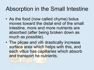 Absorption in the Small Intestine
• As the food (now called chyme) bolus
moves toward the distal end of the small
intestine, more and more nutrients are
absorbed (after being broken down as
much as possible).
• The plicae and villi drastically increase
surface area which helps with this, and
each villus has capillaries which absorb
and transport he nutrients.
 