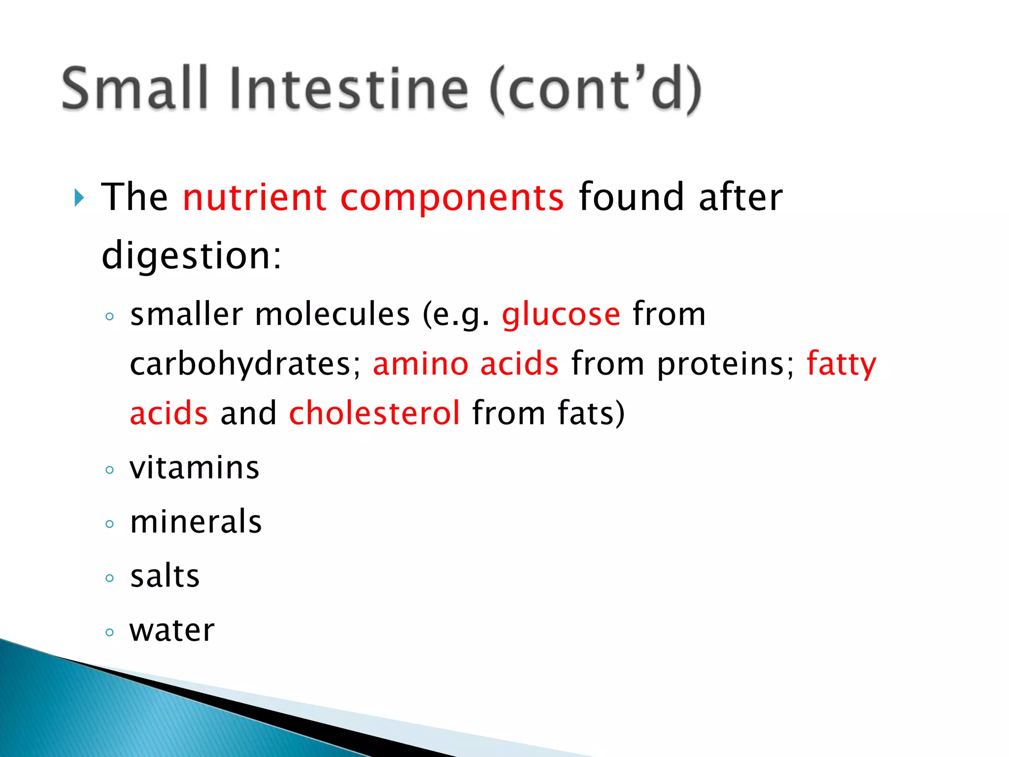 The  nutrient components  found after digestion: smaller molecules (e.g.  glucose  from carbohydrates;  amino acids  from proteins;  fatty acids  and  cholesterol  from fats) vitamins minerals salts water 