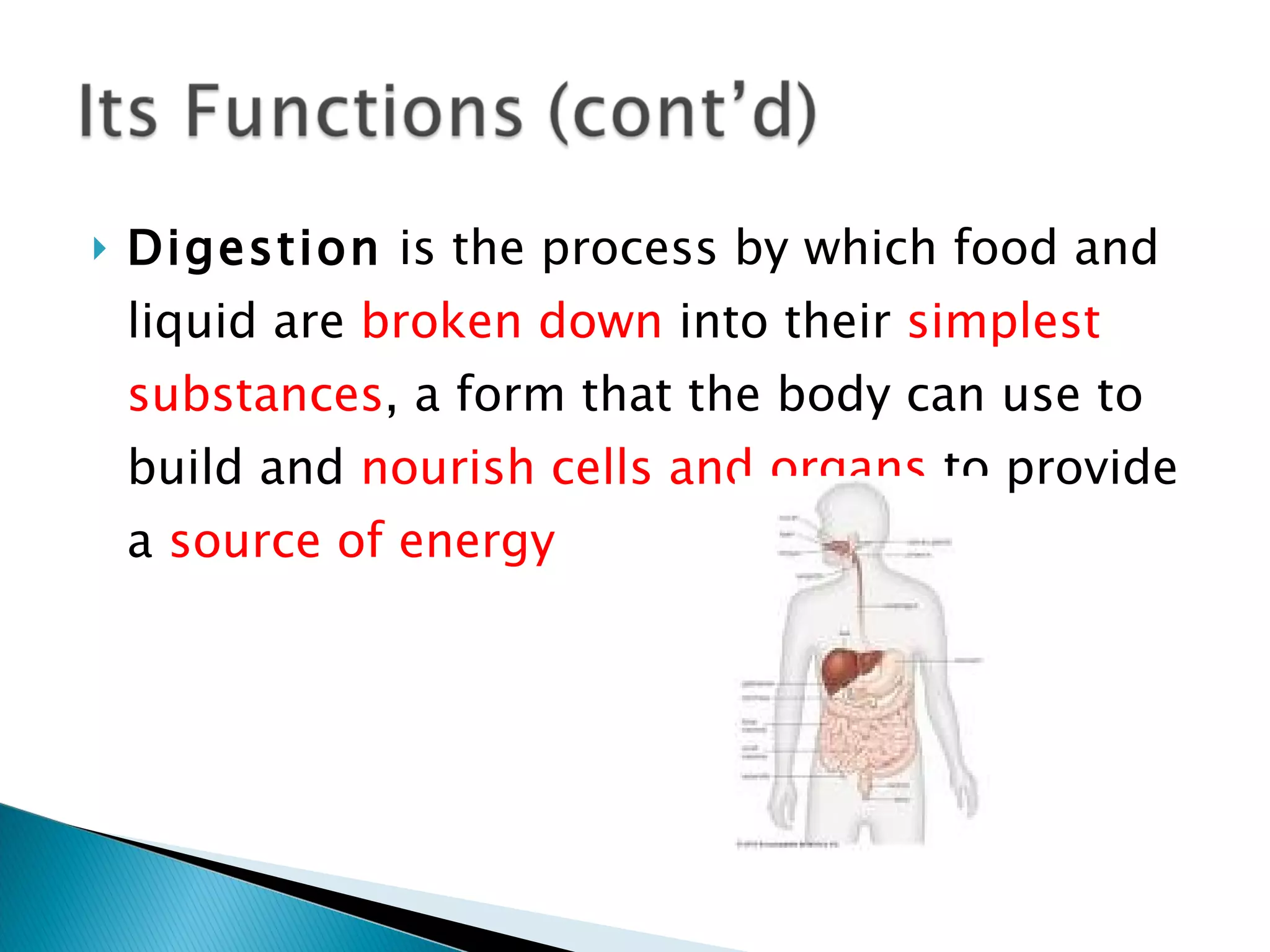 Digestion  is the process by which food and liquid are  broken down  into their  simplest substances , a form that the body can use to build and  nourish cells and organs  to provide a  source of energy 