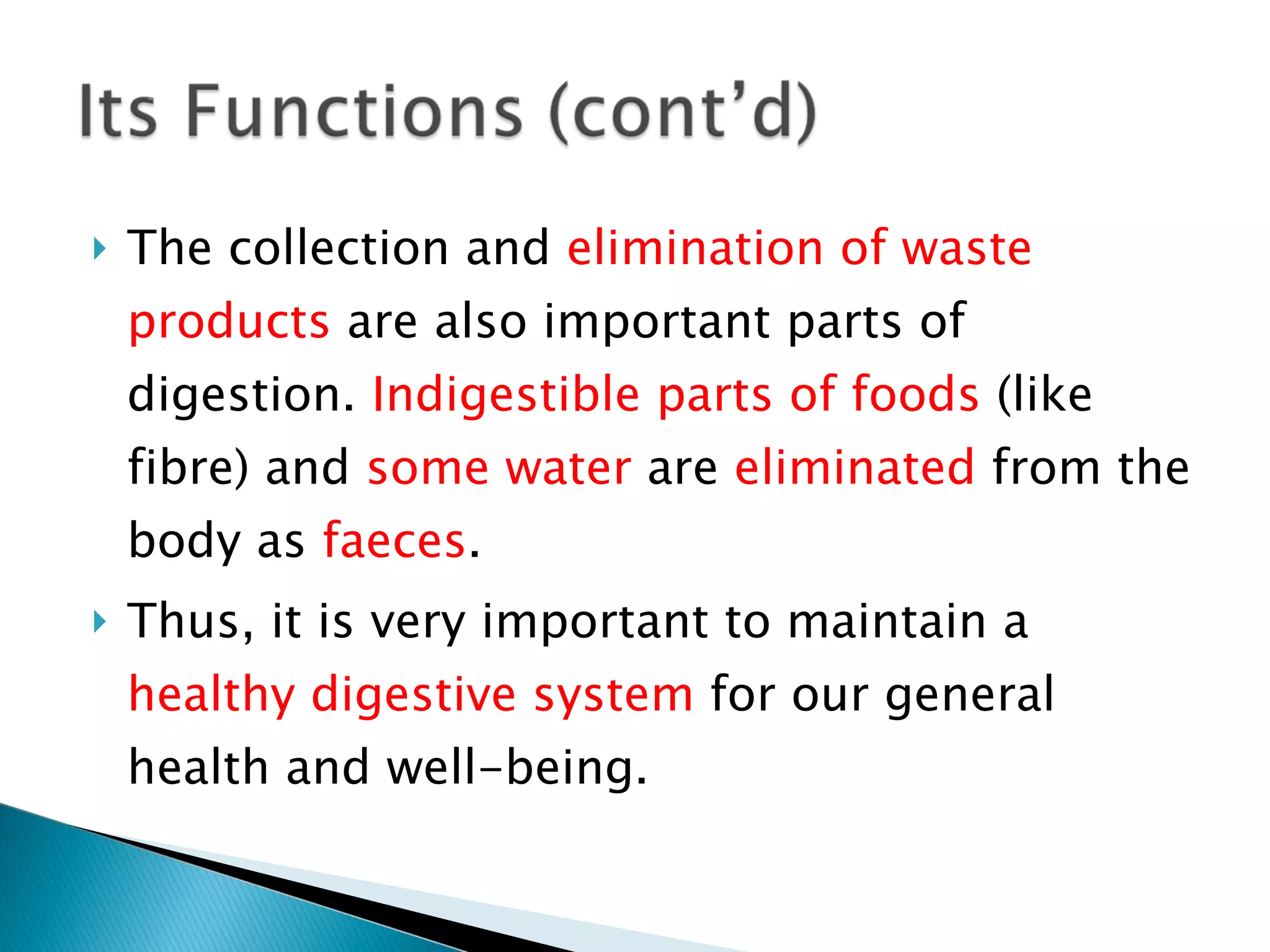 The collection and  elimination of waste products  are also important parts of digestion.  Indigestible parts of foods  (like fibre) and  some water  are  eliminated  from the body as  faeces . Thus, it is very important to maintain a  healthy digestive system  for our general health and well-being. 