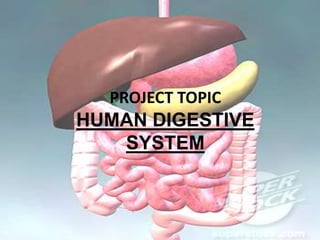 PROJECT TOPIC

HUMAN DIGESTIVE
SYSTEM

 