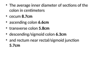 digestive system anatomy ptz2p00(2).pptx
