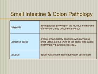 Small Intestine & Colon Pathology
                     having polyps growing on the mucous membrane
polyposis
                     of the colon; may become cancerous



                     chronic inflammatory condition with numerous
ulcerative colitis   small ulcers on the lining of the colon; also called
                     inflammatory bowel disease (IBD)


volvulus             bowel twists upon itself causing an obstruction
 