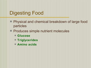 Digesting Food
   Physical and chemical breakdown of large food
    particles
   Produces simple nutrient molecules
       Glucose
       Triglycerides
       Amino acids
 