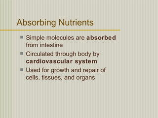 Absorbing Nutrients
   Simple molecules are absorbed
    from intestine
   Circulated through body by
    cardiovascular system
   Used for growth and repair of
    cells, tissues, and organs
 