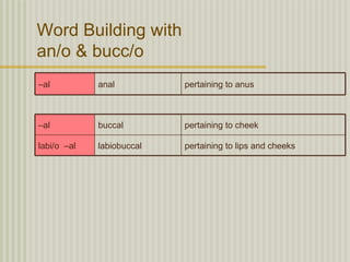 Word Building with
an/o & bucc/o
–al          anal          pertaining to anus



–al          buccal        pertaining to cheek

labi/o –al   labiobuccal   pertaining to lips and cheeks
 