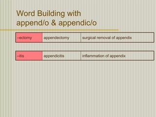 Word Building with
append/o & appendic/o
–ectomy   appendectomy   surgical removal of appendix



–itis     appendicitis   inflammation of appendix
 