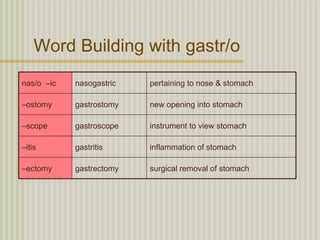 Word Building with gastr/o
nas/o –ic   nasogastric   pertaining to nose & stomach

–ostomy     gastrostomy   new opening into stomach

–scope      gastroscope   instrument to view stomach

–itis       gastritis     inflammation of stomach

–ectomy     gastrectomy   surgical removal of stomach
 
