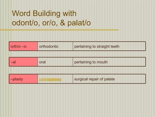 Word Building with
odont/o, or/o, & palat/o

orth/o –ic   orthodontic    pertaining to straight teeth



–al          oral           pertaining to mouth



–plasty      palatoplasty   surgical repair of palate
 