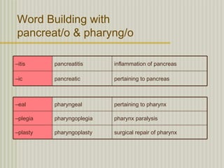 Word Building with
pancreat/o & pharyng/o

–itis     pancreatitis     inflammation of pancreas

–ic       pancreatic       pertaining to pancreas



–eal      pharyngeal       pertaining to pharynx

–plegia   pharyngoplegia   pharynx paralysis

–plasty   pharyngoplasty   surgical repair of pharynx
 
