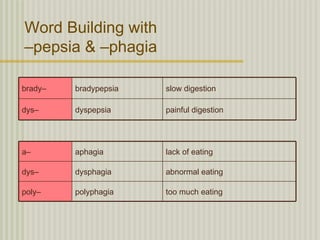 Word Building with
–pepsia & –phagia

brady–   bradypepsia   slow digestion

dys–     dyspepsia     painful digestion




a–       aphagia       lack of eating

dys–     dysphagia     abnormal eating

poly–    polyphagia    too much eating
 