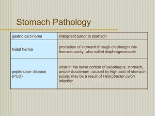 Stomach Pathology
gastric carcinoma      malignant tumor in stomach

                       protrusion of stomach through diaphragm into
hiatal hernia
                       thoracic cavity; also called diaphragmatocele


                       ulcer in the lower portion of esophagus, stomach,
peptic ulcer disease   and/or duodenum; caused by high acid of stomach
(PUD)                  juices; may be a result of Helicobacter pylori
                       infection
 