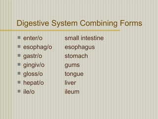 Digestive System Combining Forms
   enter/o     small intestine
   esophag/o   esophagus
   gastr/o     stomach
   gingiv/o    gums
   gloss/o     tongue
   hepat/o     liver
   ile/o       ileum
 