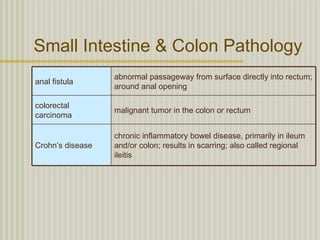 Small Intestine & Colon Pathology
                  abnormal passageway from surface directly into rectum;
anal fistula
                  around anal opening

colorectal
                  malignant tumor in the colon or rectum
carcinoma

                  chronic inflammatory bowel disease, primarily in ileum
Crohn’s disease   and/or colon; results in scarring; also called regional
                  ileitis
 